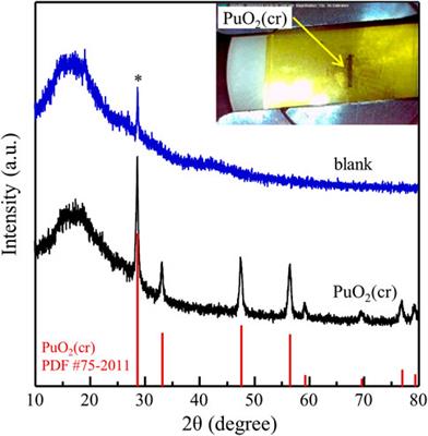 Dissolution behaviors of PuO2(cr) in natural waters